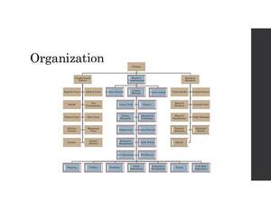 [Organization]