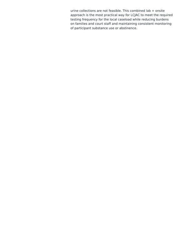 on families and court staff and maintaining consistent monitoring