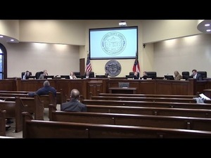 [5. Acknowledgement of Lowndes County Probation's Annual Audit]