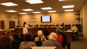 [Against: Dr. Jeana B. Seemann, 4634 Briarberry Drive, 2025-06-30 REZ-2025-11 @ GLPC, LAKE video]