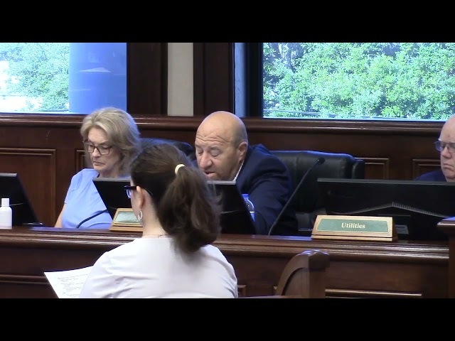 7.a. 2026 Local Maintenance and Improvement Grant (LMIG) Resurfacing Bids