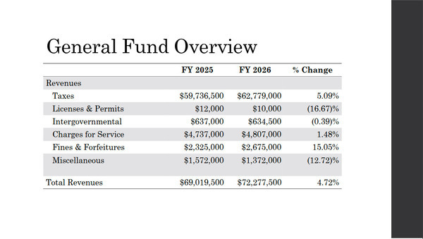 [General Fund Overview: Revenues]