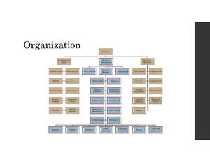 [Organization]