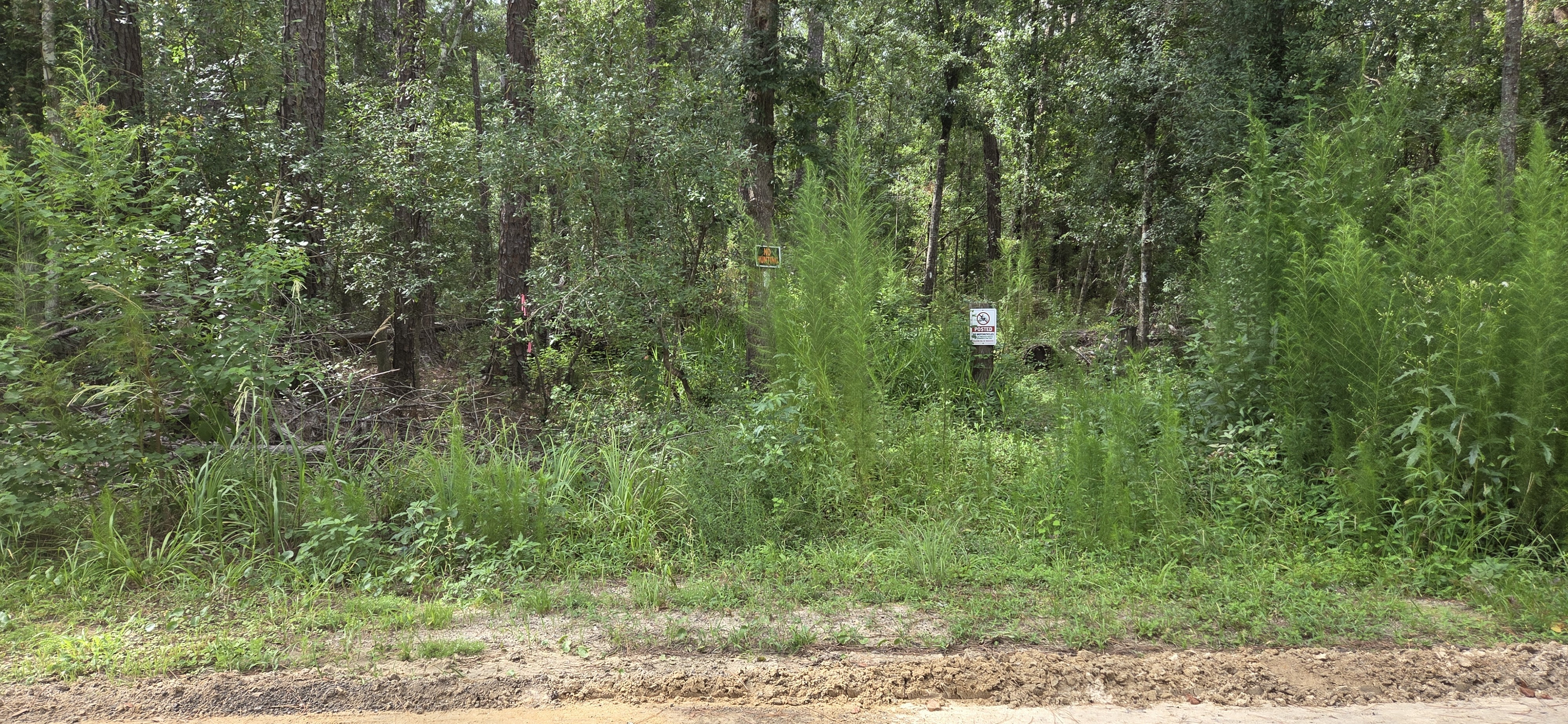 Verizon Tower Premises survey marker next to Langdale Park White Trail A, 2026-07-13 --jsq for LAKE