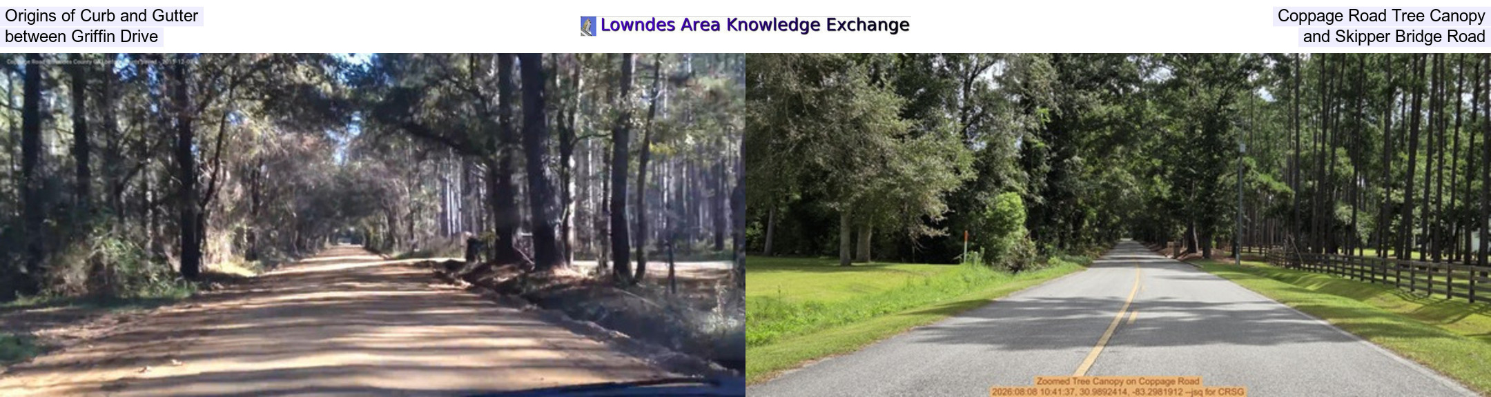 Origins of Curb and Gutter, Coppage Road Tree Canopy, between Griffin Drive, and Skipper Bridge Road