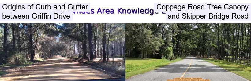 Origins of Curb and Gutter, Coppage Road Tree Canopy, between Griffin Drive, and Skipper Bridge Road