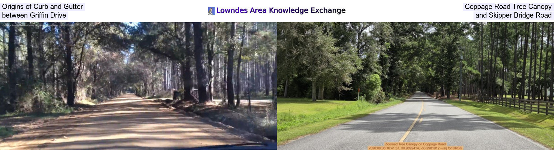 [Origins of Curb and Gutter, Coppage Road Tree Canopy, between Griffin Drive, and Skipper Bridge Road]