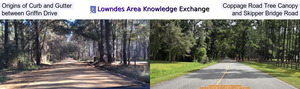 [Origins of Curb and Gutter, Coppage Road Tree Canopy, between Griffin Drive, and Skipper Bridge Road]