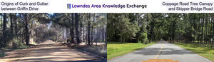 [Origins of Curb and Gutter, Coppage Road Tree Canopy, between Griffin Drive, and Skipper Bridge Road]
