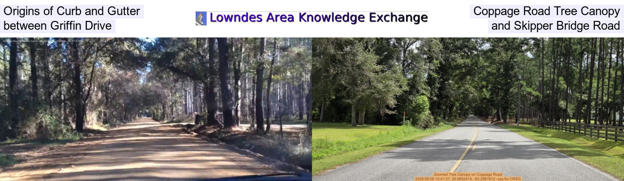 Origins of Curb and Gutter, Coppage Road Tree Canopy, between Griffin Drive, and Skipper Bridge Road