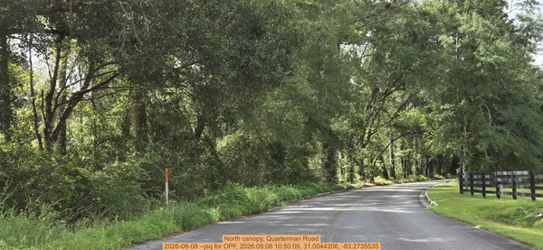 [North canopy, Quarterman Road, 2026-08-08 --jsq for OPF, 2026:08:08 10:50:09, 31.0044206, -83.2735535]