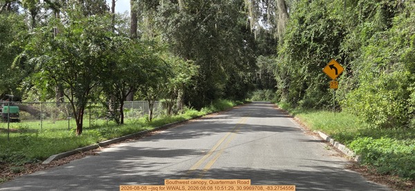 [Southwest canopy, Quarterman Road, 2026-08-08 --jsq for WWALS, 2026:08:08 10:51:29, 30.9969708, -83.2754556]