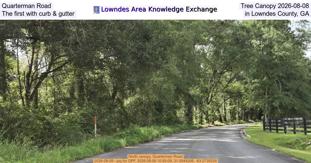 Quarterman Road Tree Canopy 2026-08-08, The first with curb & gutter in Lowndes County, GA
