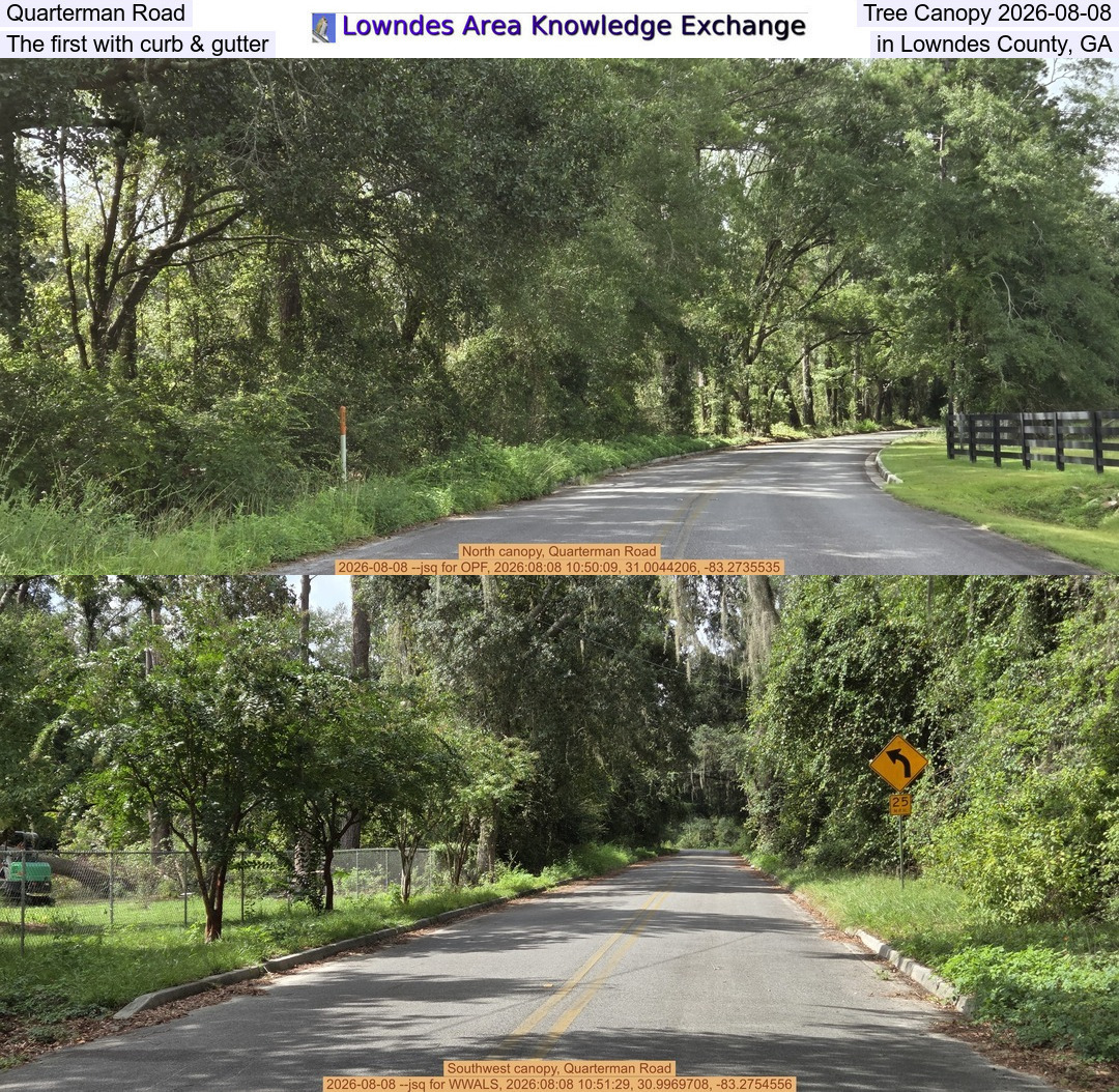 [Quarterman Road Tree Canopy 2026-08-08, The first with curb & gutter in Lowndes County, GA]