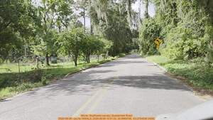 [Movie: Southwest canopy, Quarterman Road, 2026-08-08 --jsq for WWALS, 2026:08:08 10:51:33, 30.9969708, -83.2754556 (40M)]