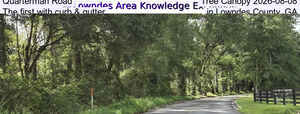 [Quarterman Road Tree Canopy 2026-08-08, The first with curb & gutter in Lowndes County, GA]