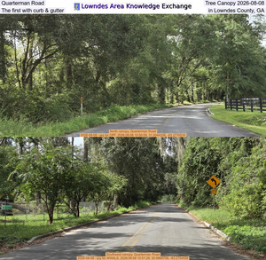 [Quarterman Road Tree Canopy 2026-08-08, The first with curb & gutter in Lowndes County, GA]