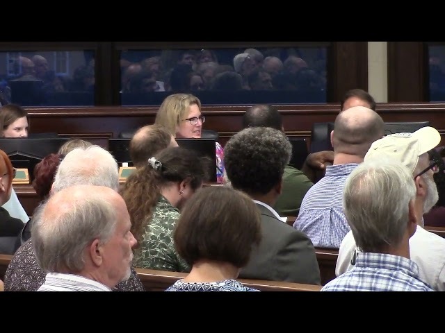 5.c. Adoption of Special District Millage for VLPRA