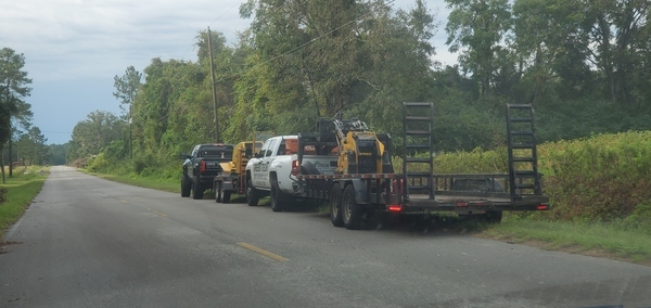 Tree contractor