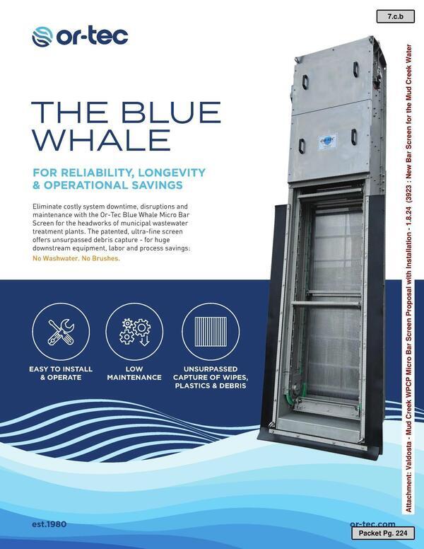 Photograph: The Blue Whale