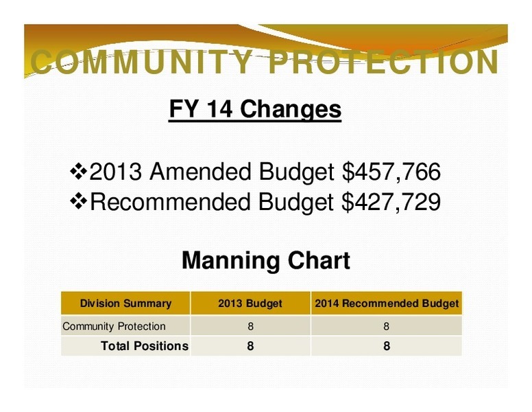 COMMUNITY PROTECTION: FY 14 Changes; Manning Chart; Division Summary; 2013 Budget; 2014 Recommended Budget; Total Positions; 8; 8
