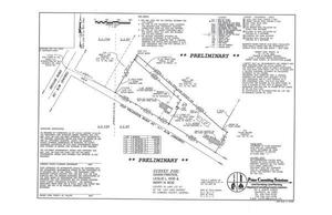 [Preliminary Plat]