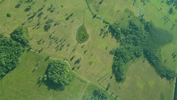 ENE sinkhole? on drainage canal, 09:47:22, 29.973151, -82.434714