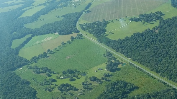 S from New River across New River Farms mine site, CR 231, Hazen mine site, 09:53:18, 29.945606, -82.332286