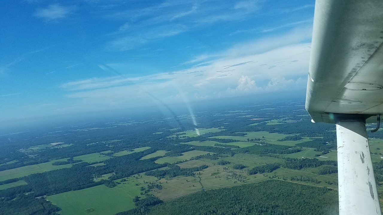 SSW from swamp: Worthington Springs, New River, Bradford Co., 09:46:14, 29.981989, -82.428819