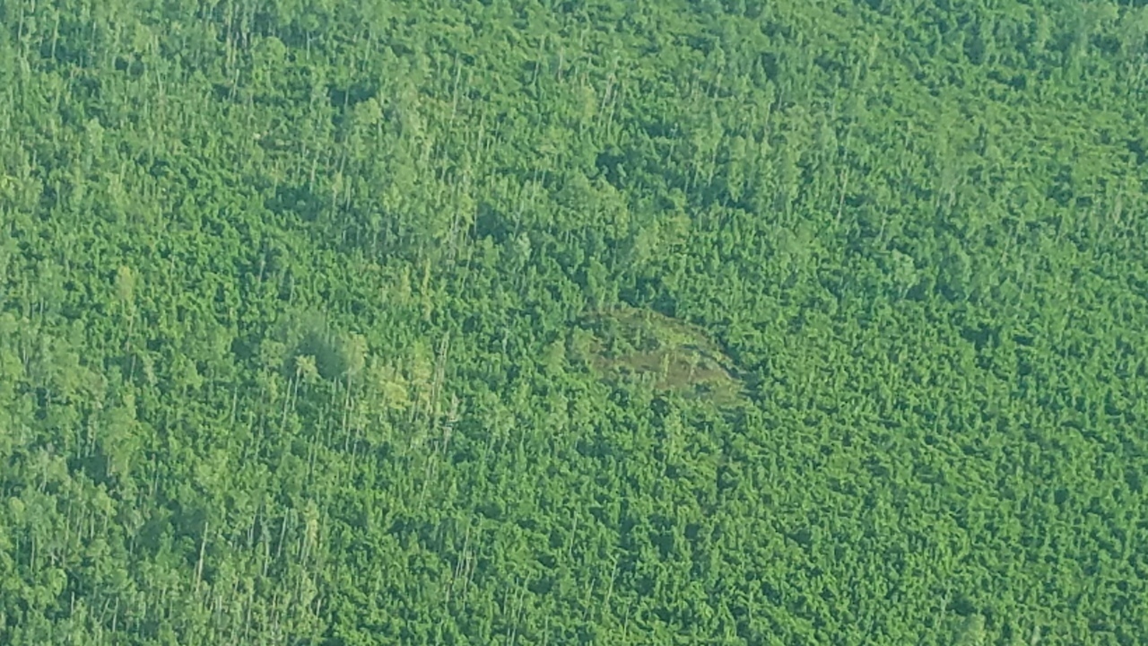 NNW closeup pond in swamp, 09:47:01, 29.979598, -82.426109