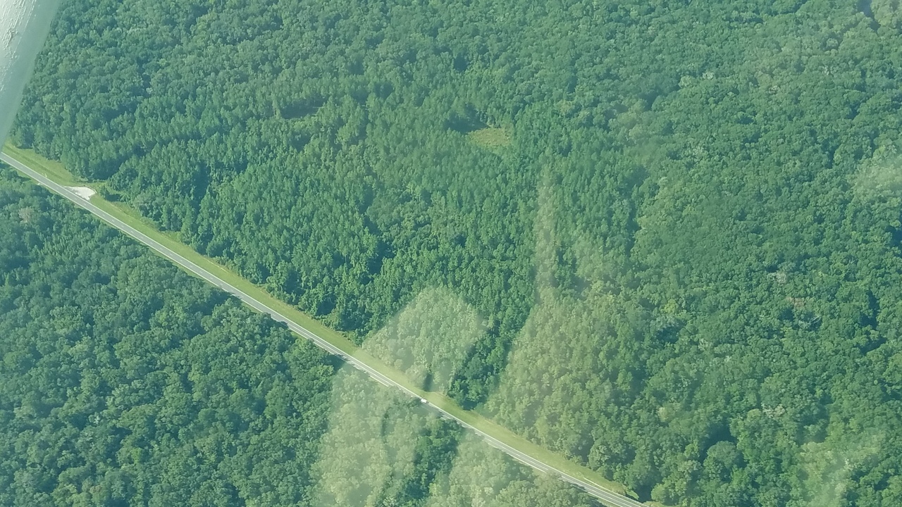 S CR 231 mine site: Hazen top, New River Farms bottom, 20170901_095316, 09:53:16, 29.948082, -82.340978