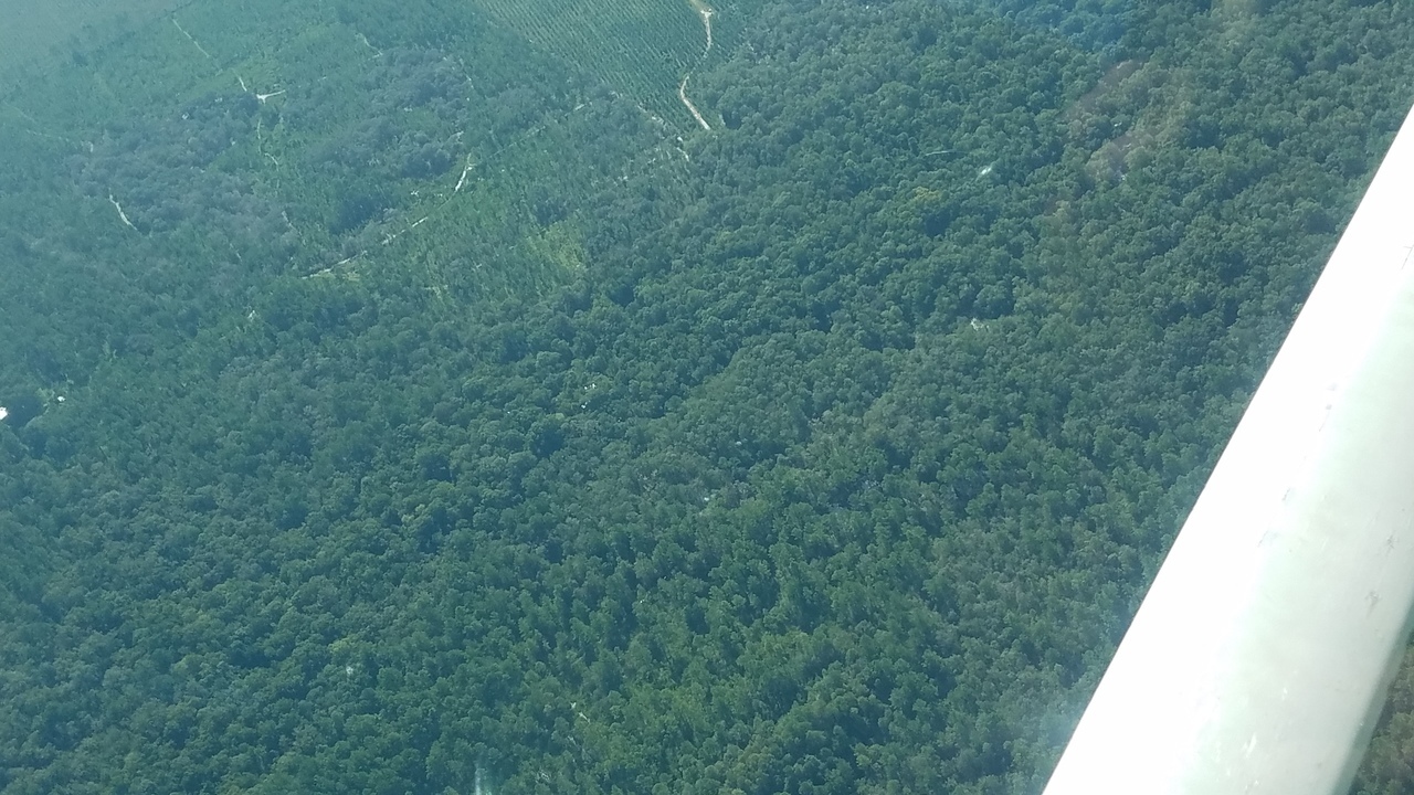 N Beasley mine site SW corner, 09:55:24, 29.954084, -82.314293