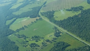 [S from New River across New River Farms mine site, CR 231, Hazen mine site, 09:53:18, 29.945606, -82.332286]